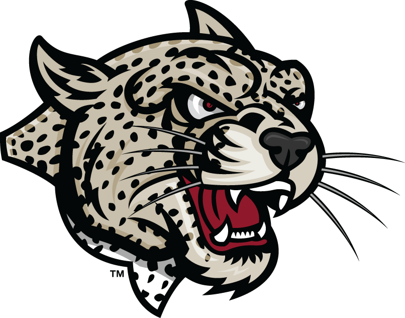 Lafayette Leopards 2000-Pres Partial Logo diy fabric transfer